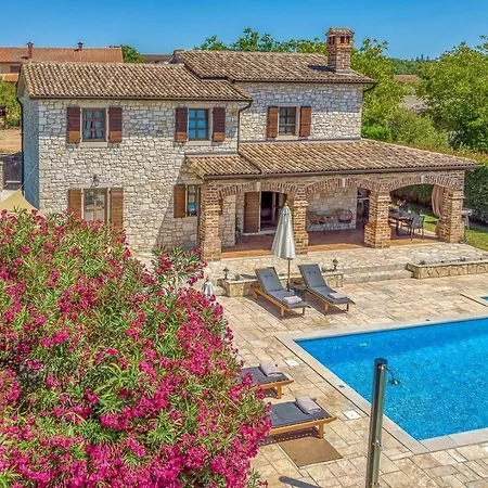 Santolina * 바데르나