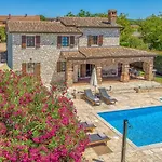 Santolina * Baderna